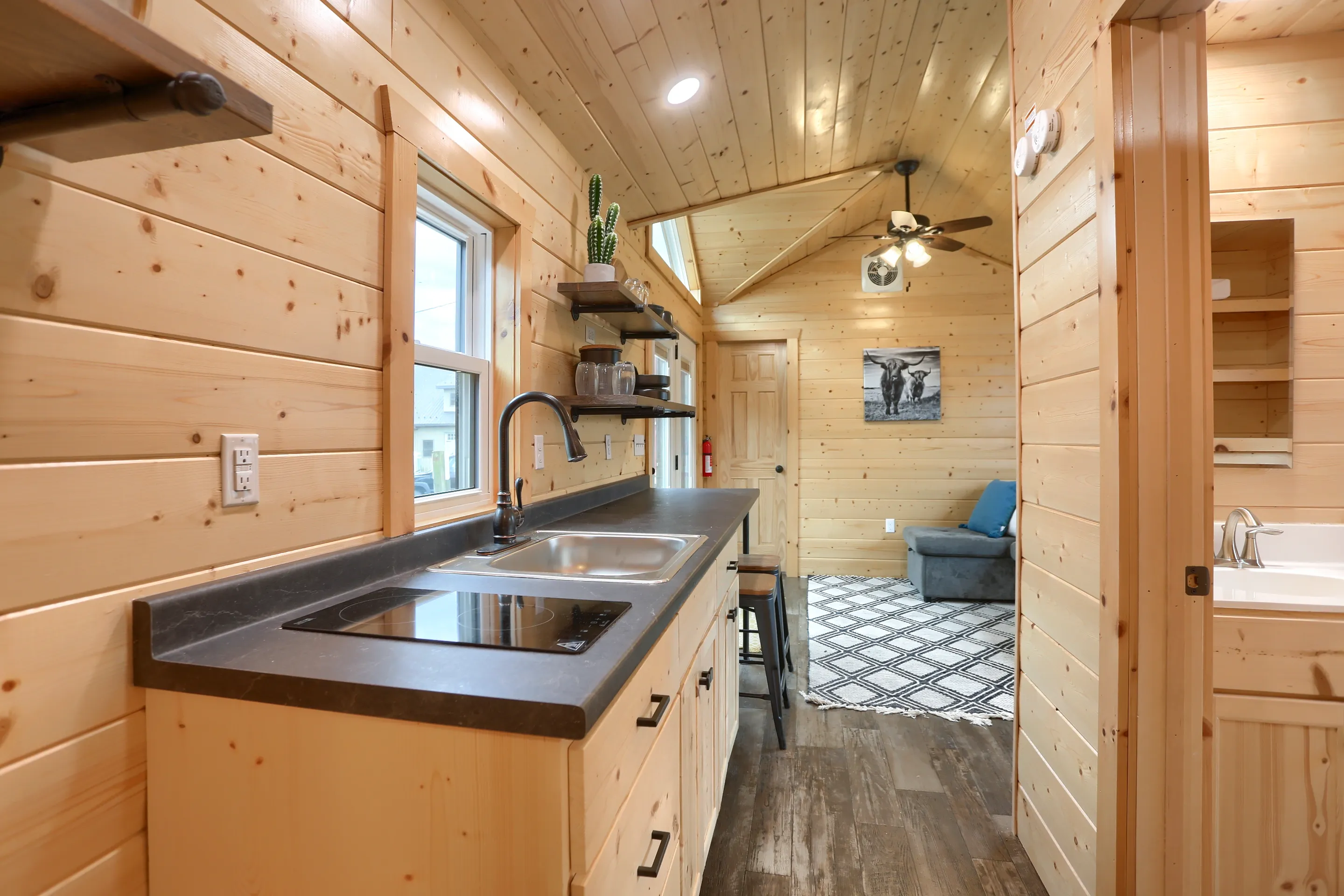 Interior of a small wooden house featuring a compact kitchen with a black countertop, stainless steel sink, and open shelving, leading to a living area with a sofa and rug.