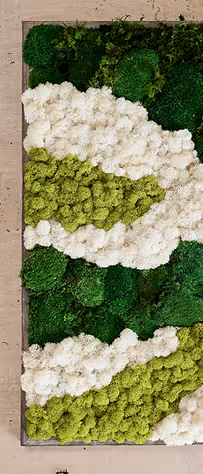 Vertical garden wall with sections of green and white moss arranged in layered patterns.
