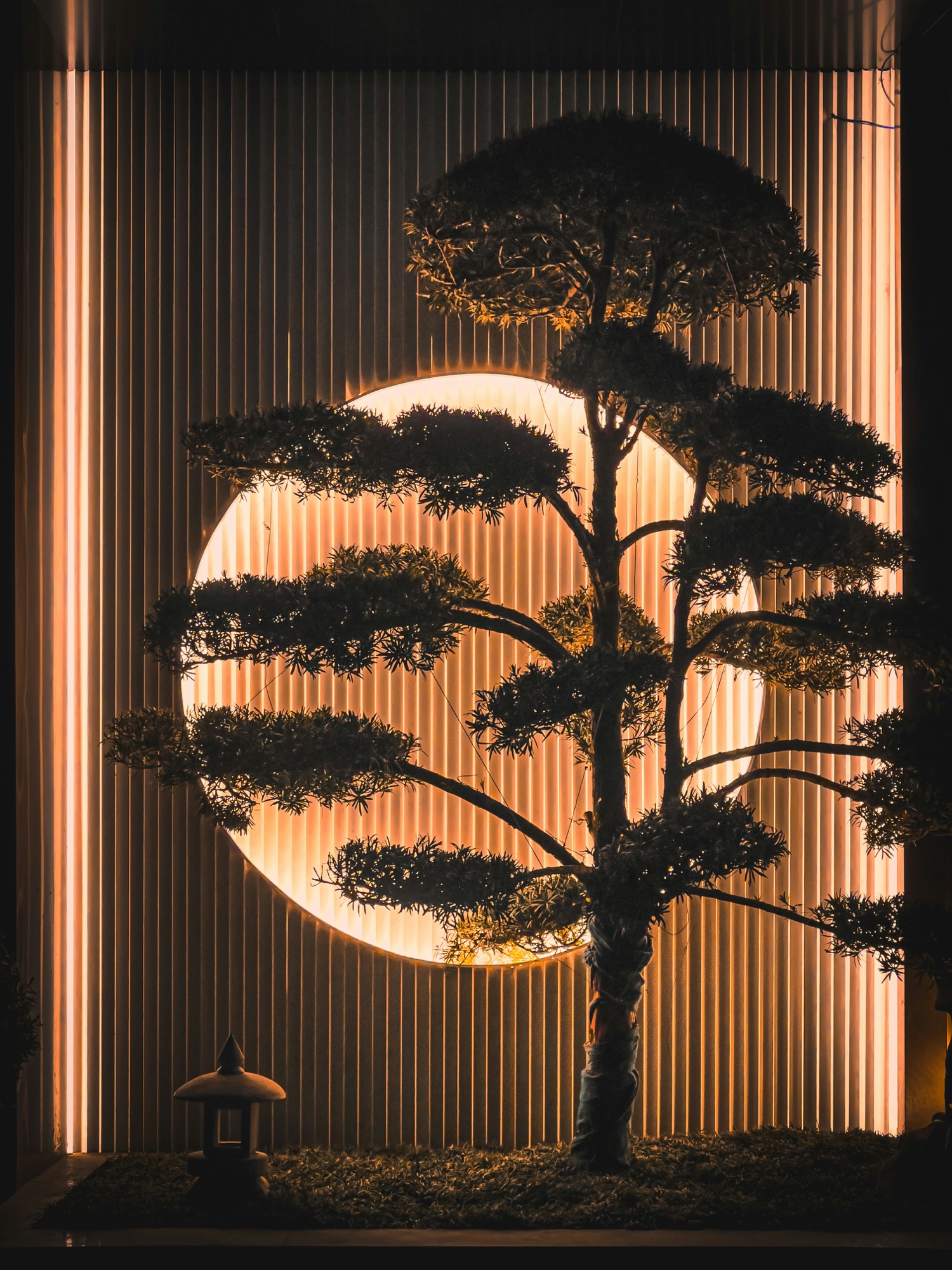 Sculpted tree silhouetted against a glowing moon through backlit slats