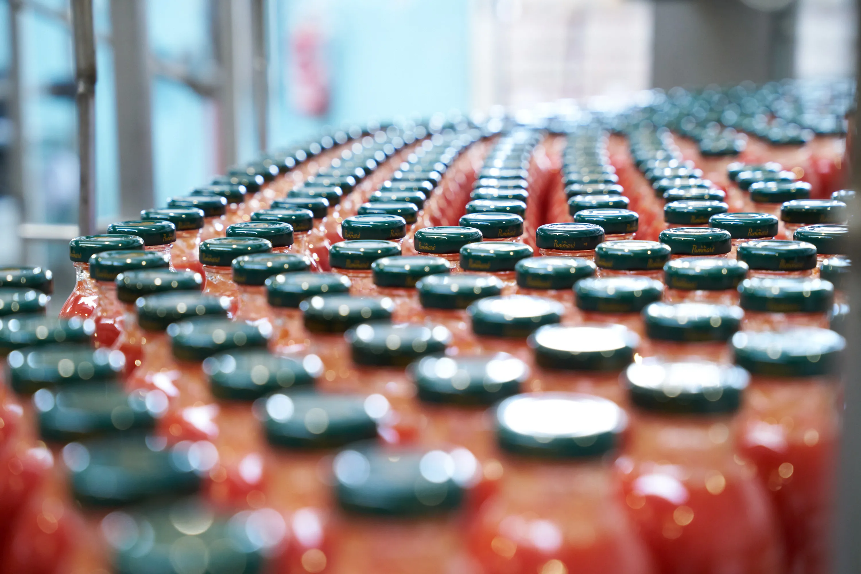 Portrait of a man sitting on a chair, looking forward.