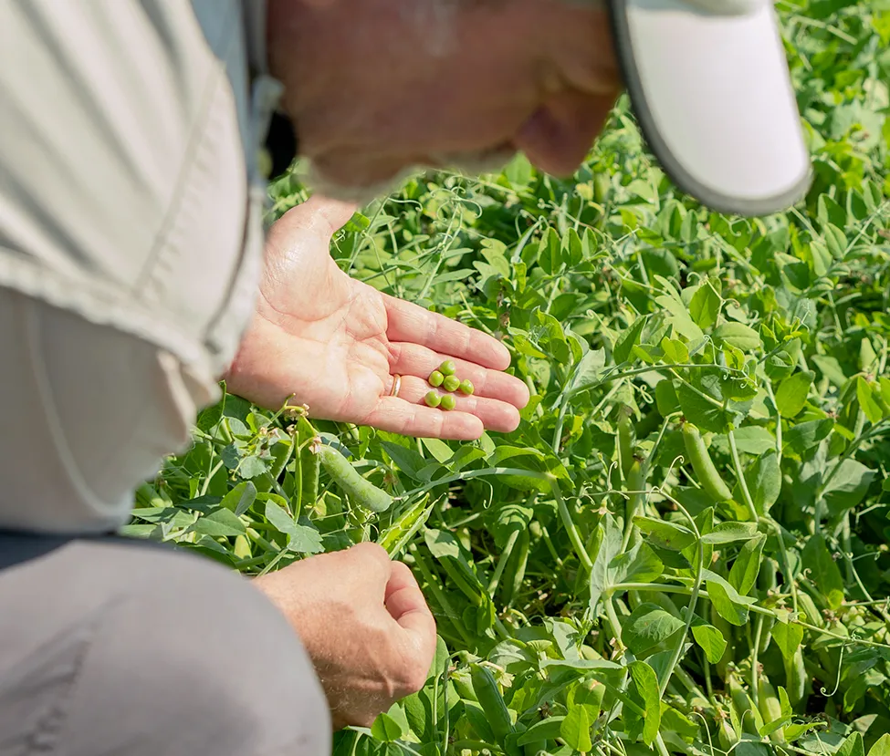 Wind turbine blades against a landscape.