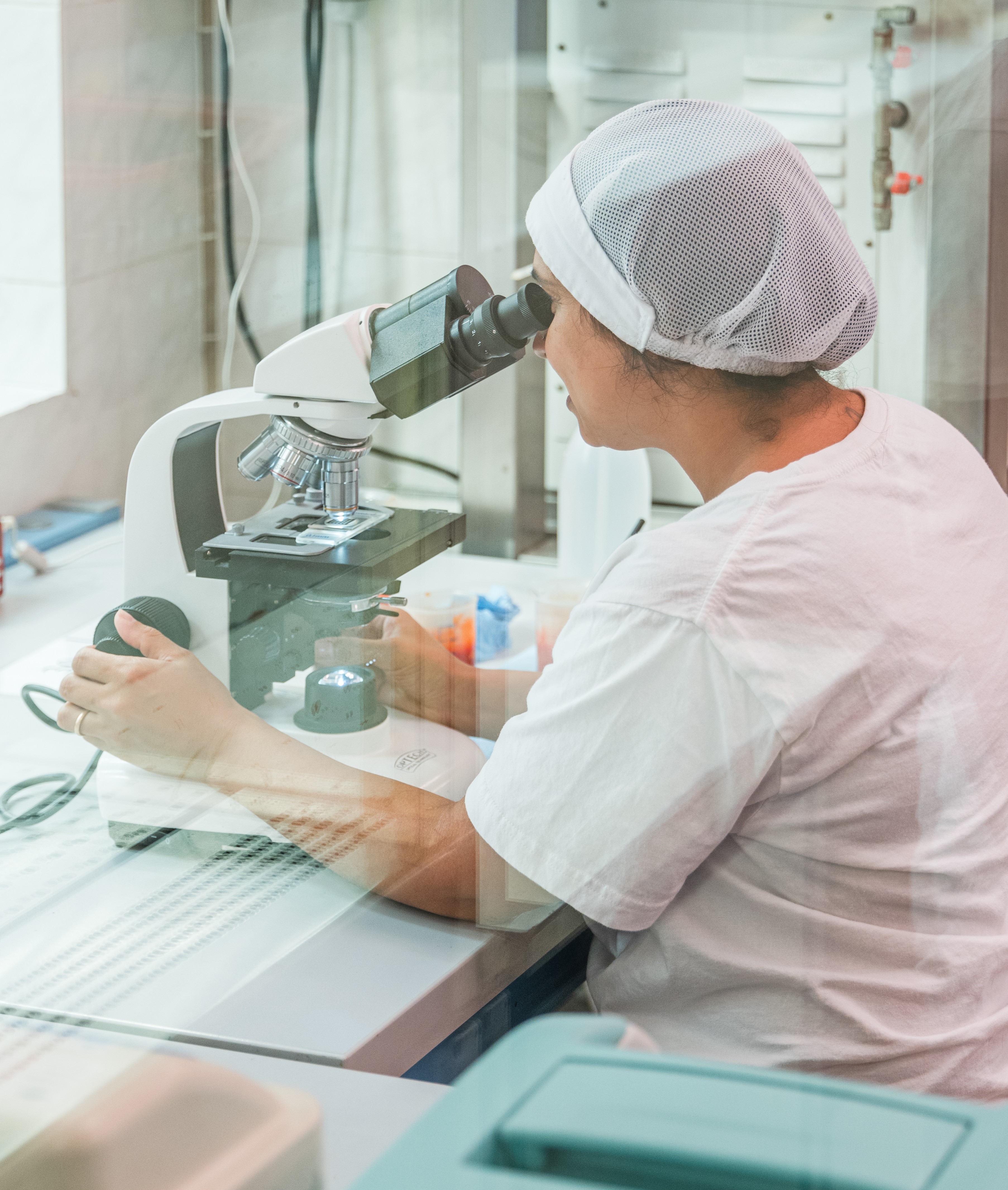 Wind turbine blades against a landscape.