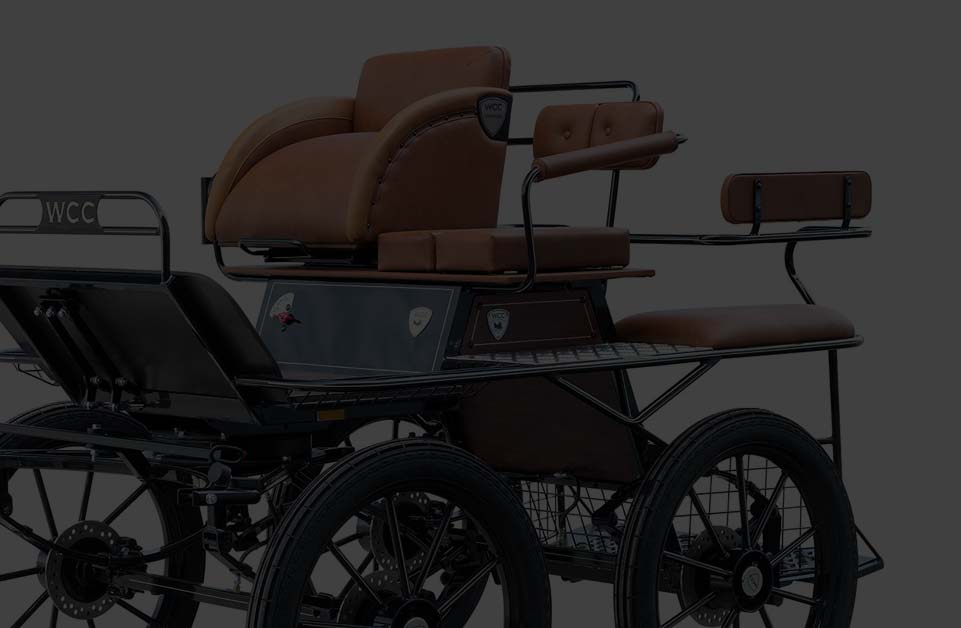 Used Horse Carriages For Sale