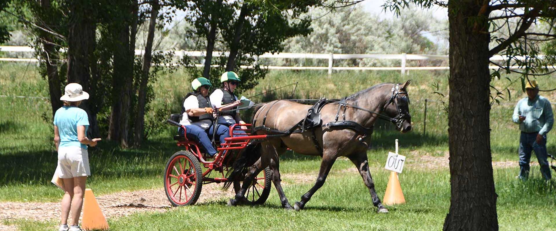 Weaver Wagons Reviews & Testimonials