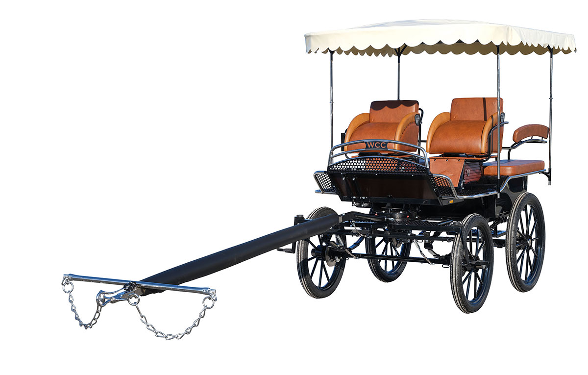 WCC Forest Training & Wagonette Carriage