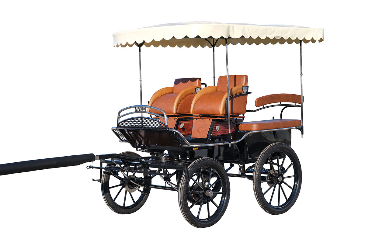 WCC Forest Training & Wagonette Carriage