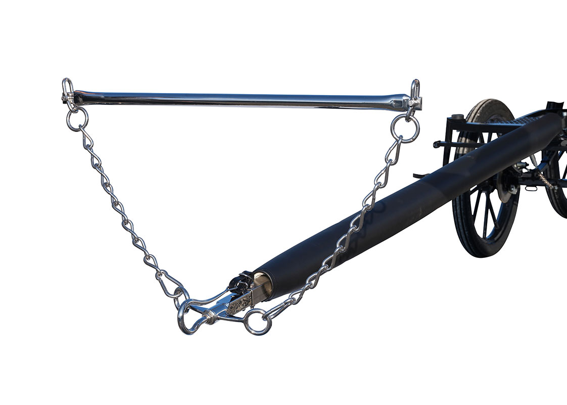 WCC Forest Training & Wagonette Carriage