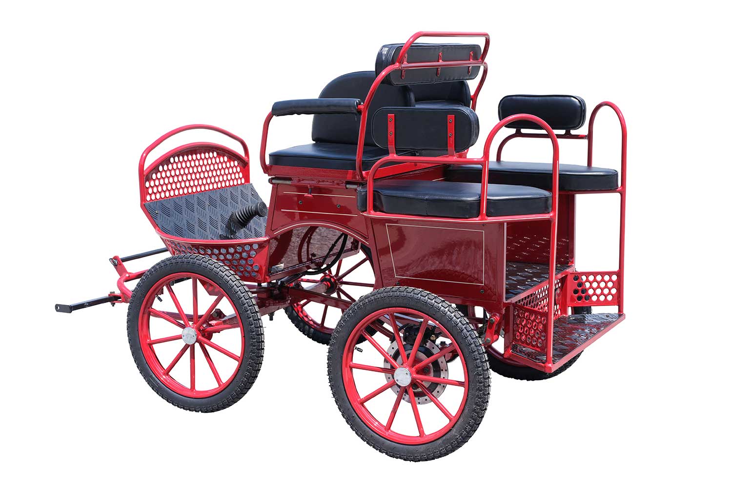 The Mini & Small Pony Marathon Horse Carriage