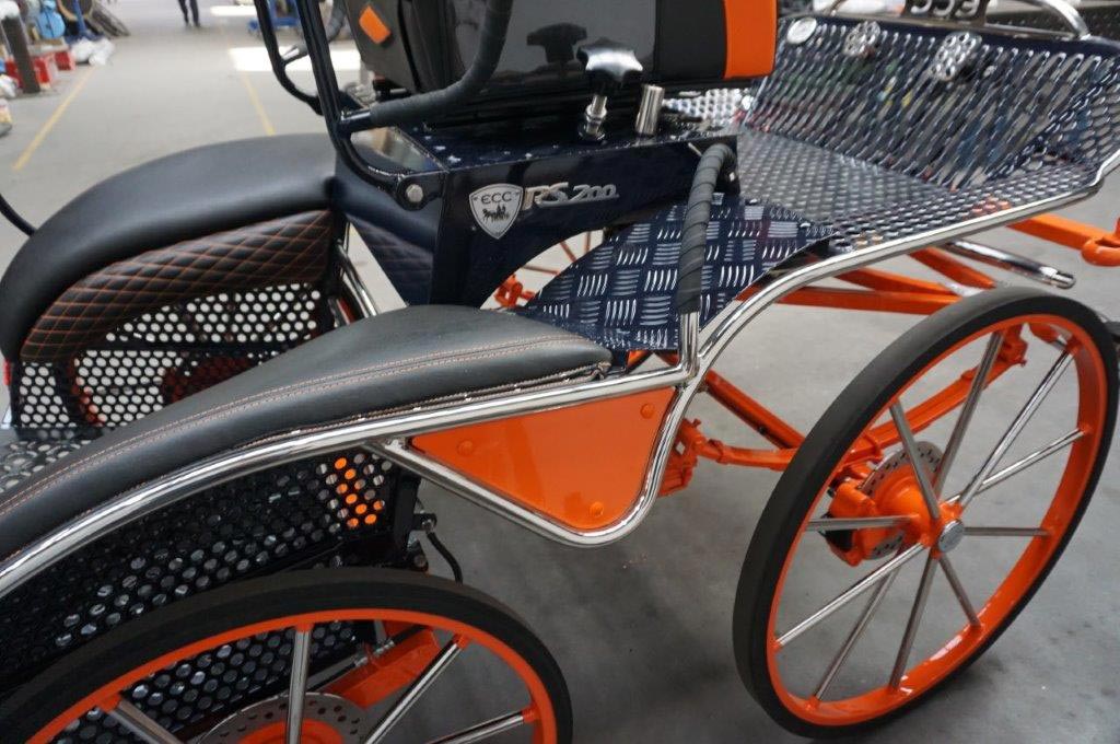 RS-200 Marathon Horse Carriage