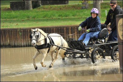 WCC Carriage Testimonial