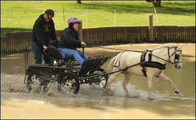 WCC Carriage Testimonial