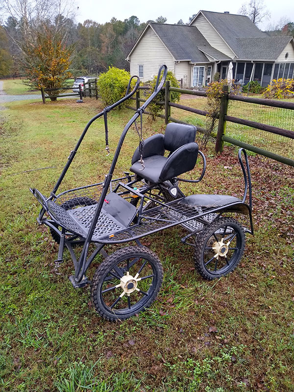 WCC Horse Carriage Testimonial