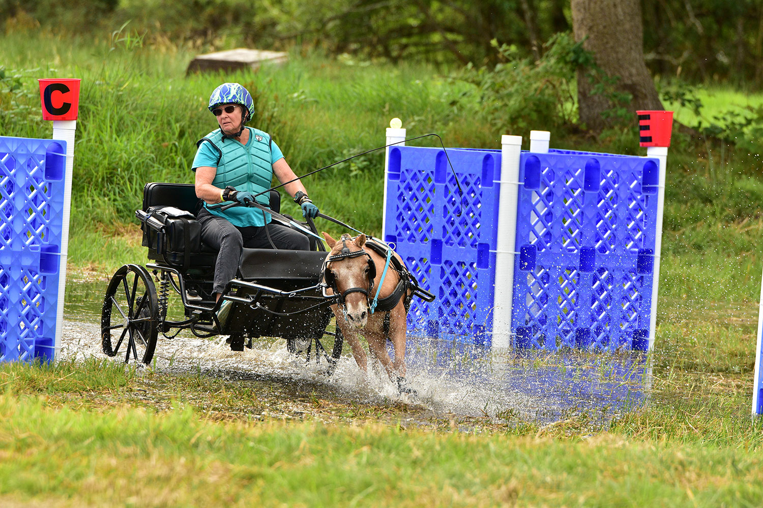 WCC Horse Carriage Testimonial