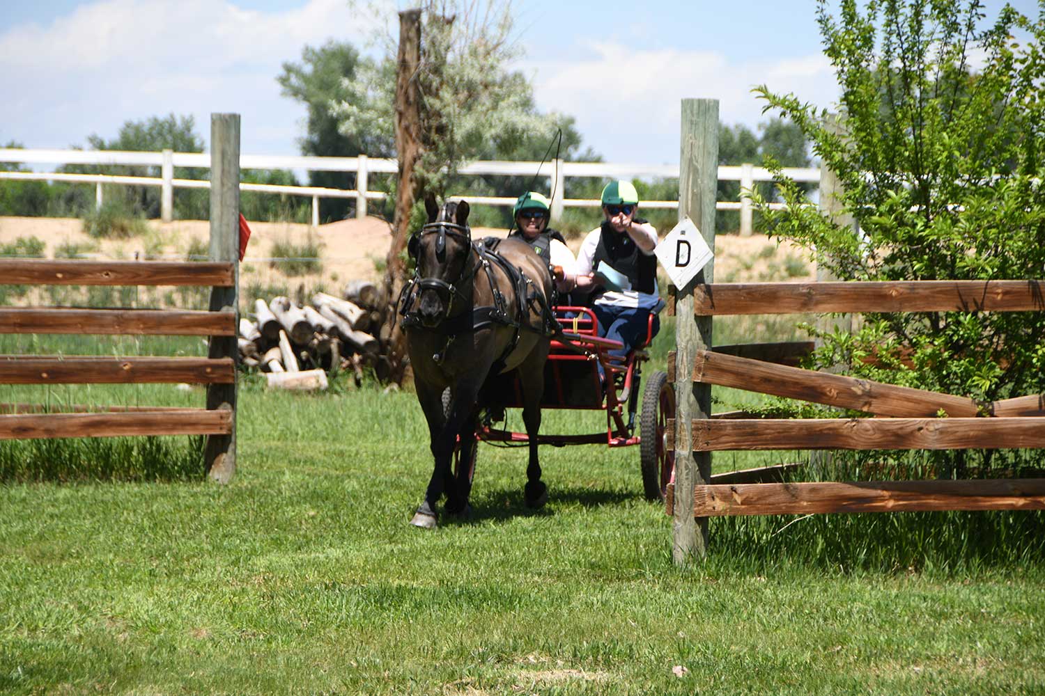 WCC Horse Carriage Testimonial