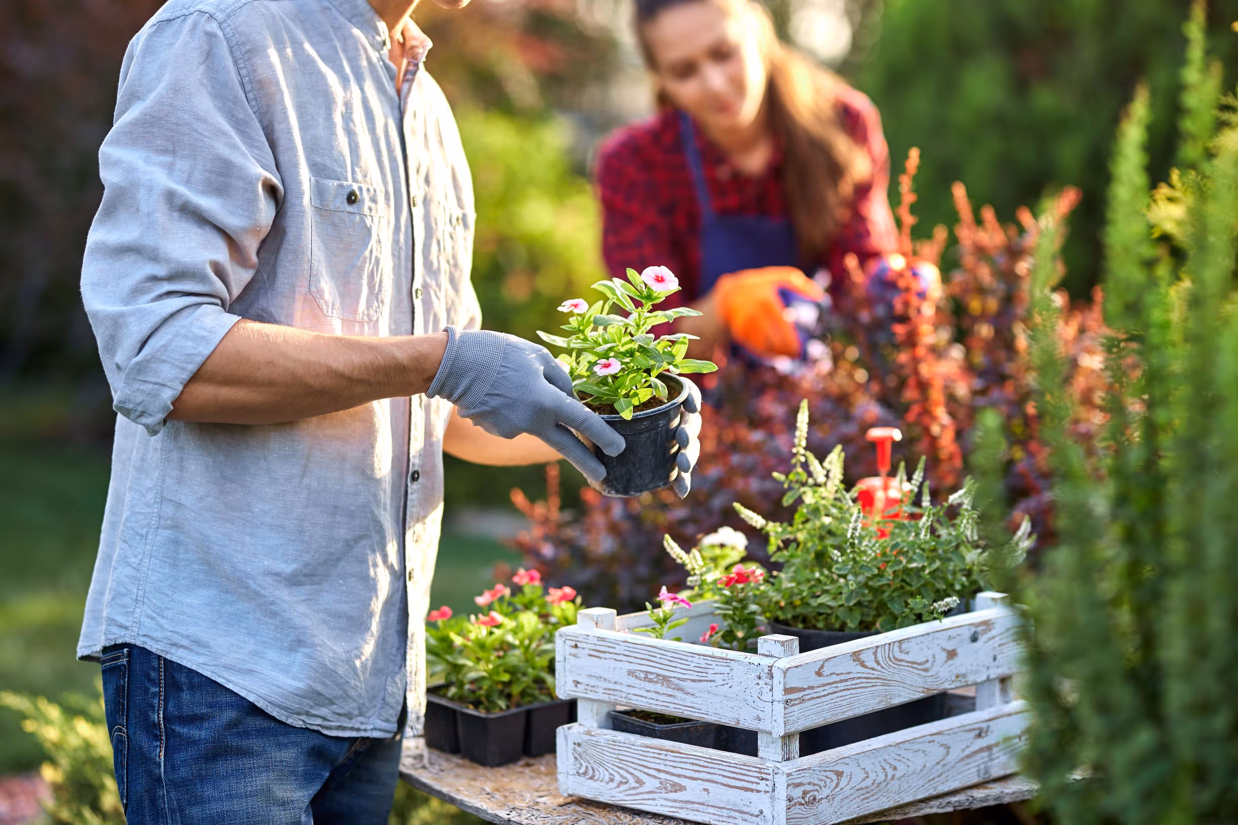National Garden Month: Plants for Your Home