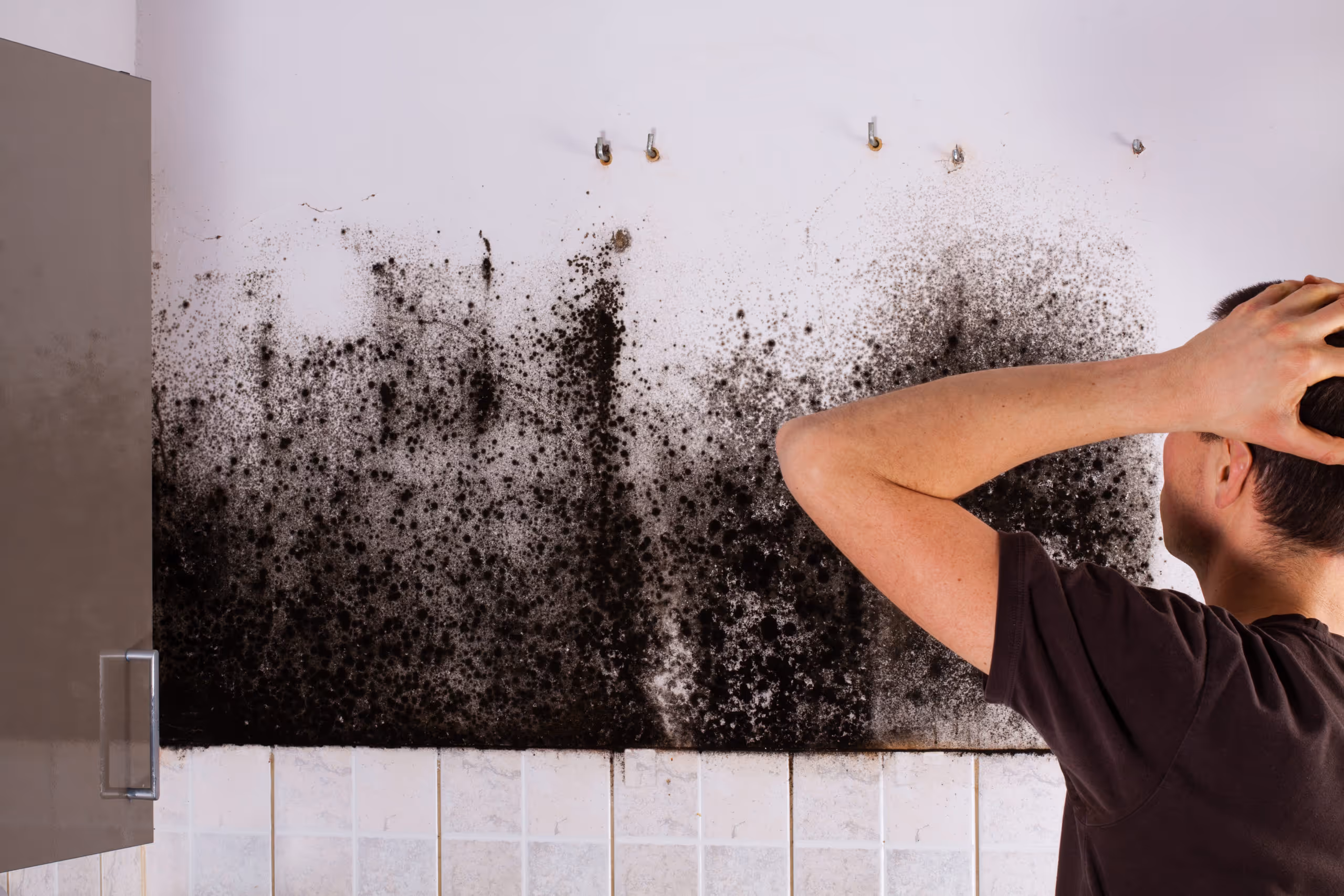 What Causes Mold in Your Home?