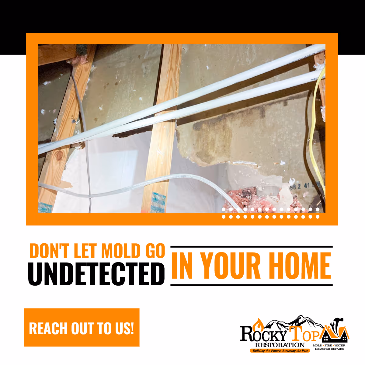 Mold Growth: Causes, Risks, and Remediation