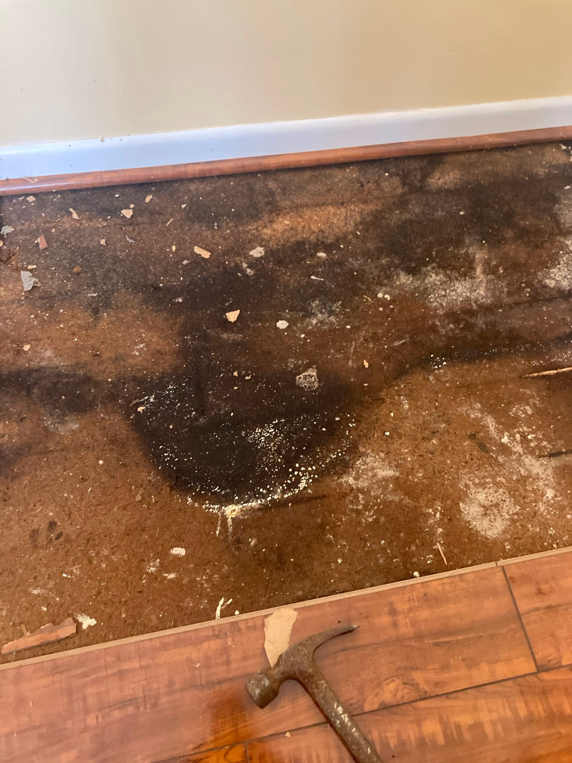 How to Choose a Restoration Team After Winter Fire Damage