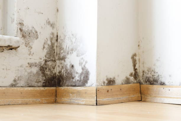 Summer Home Hazards & Disasters