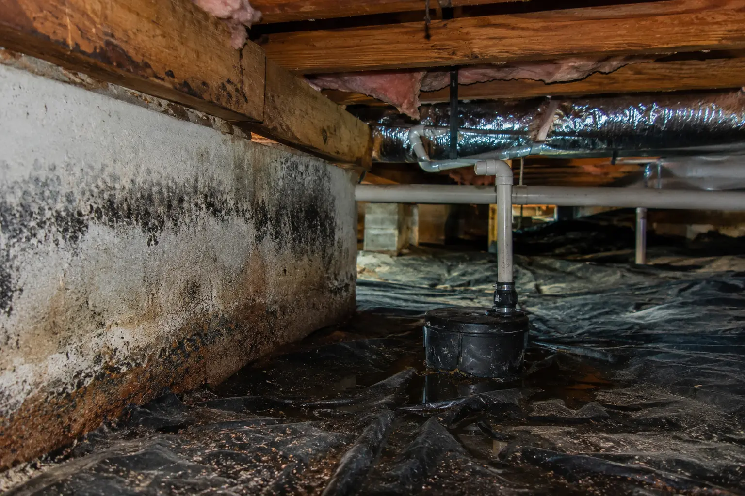 Crawl Space Moisture and Mold in East Tennessee Homes