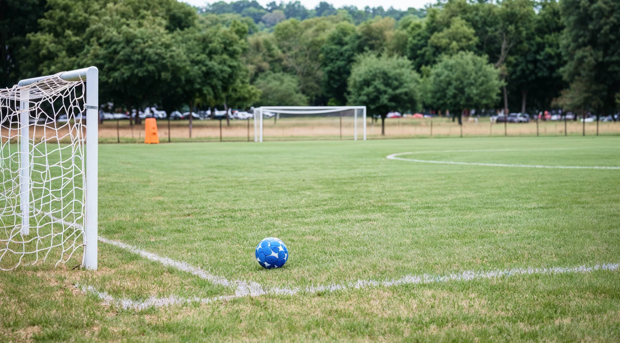 Soccer Field - Sporty X Webflow Template | BRIX Templates