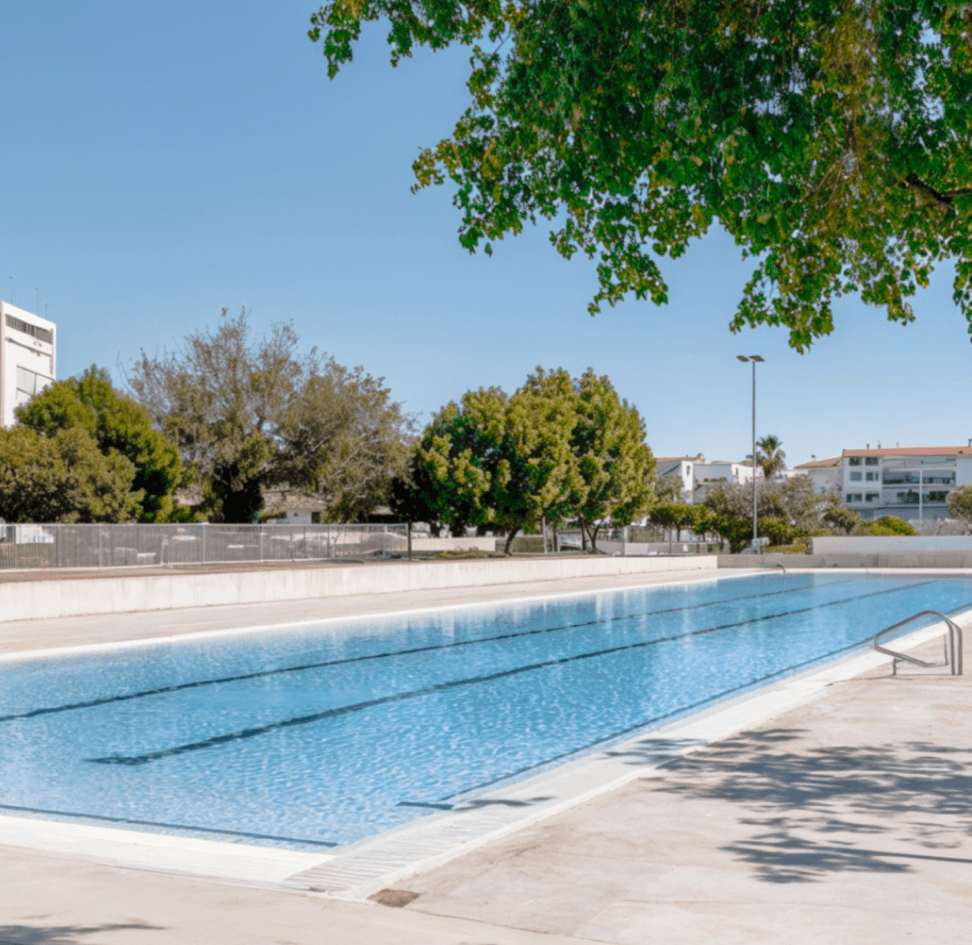 Olympic Pool - Sporty X Webflow Template | BRIX Templates