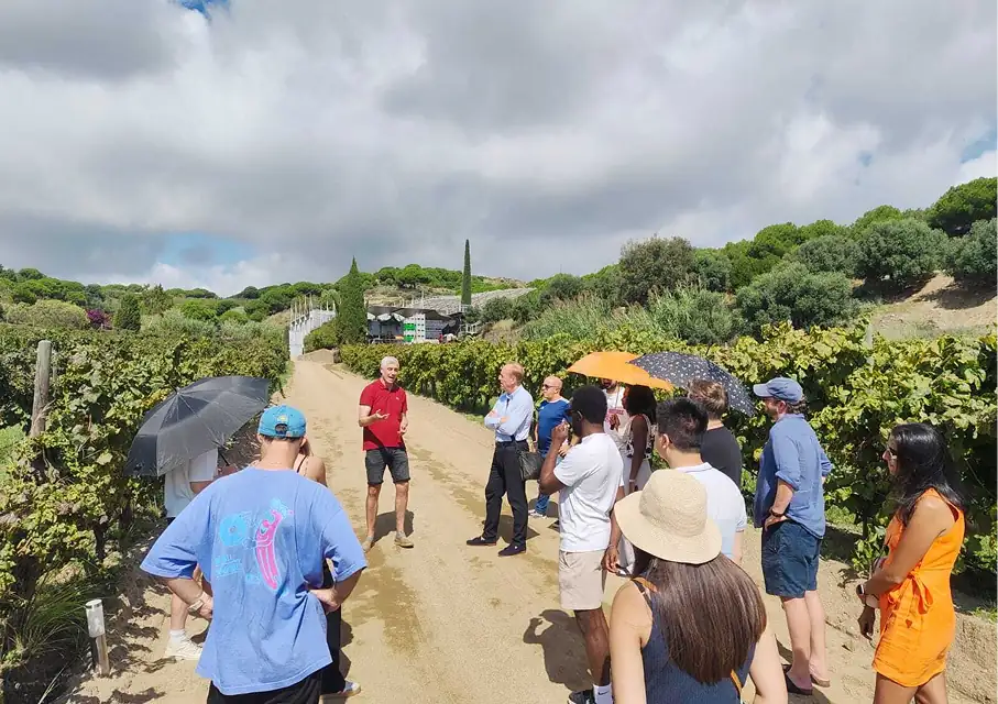 Group of tourists touring vineyard with umbrellas, grapevines and village in background