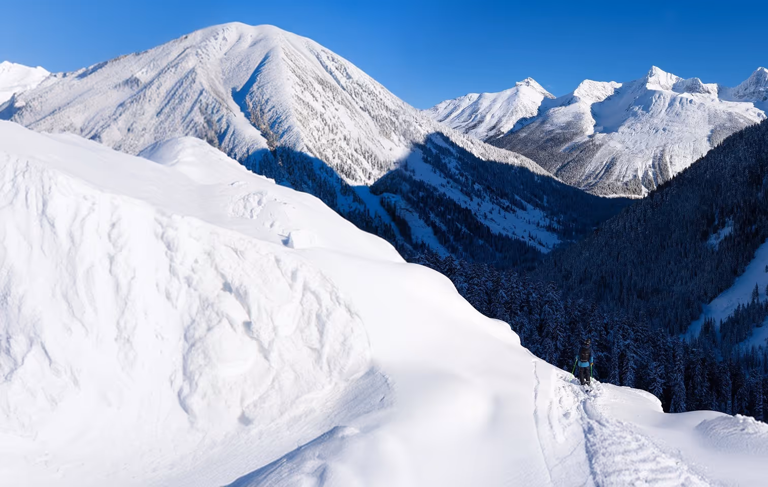 Person skiing on a snowy mountain ridge with forested valleys and snow-covered peaks under a clear blue sky.
