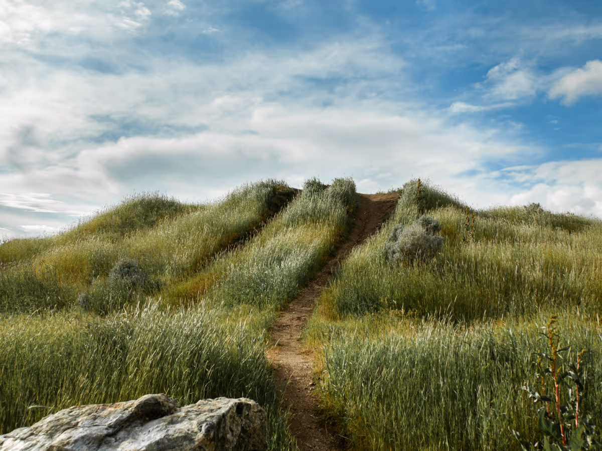 Narrow dirt path leading through tall green grass on rolling hills under a partly cloudy blue sky.