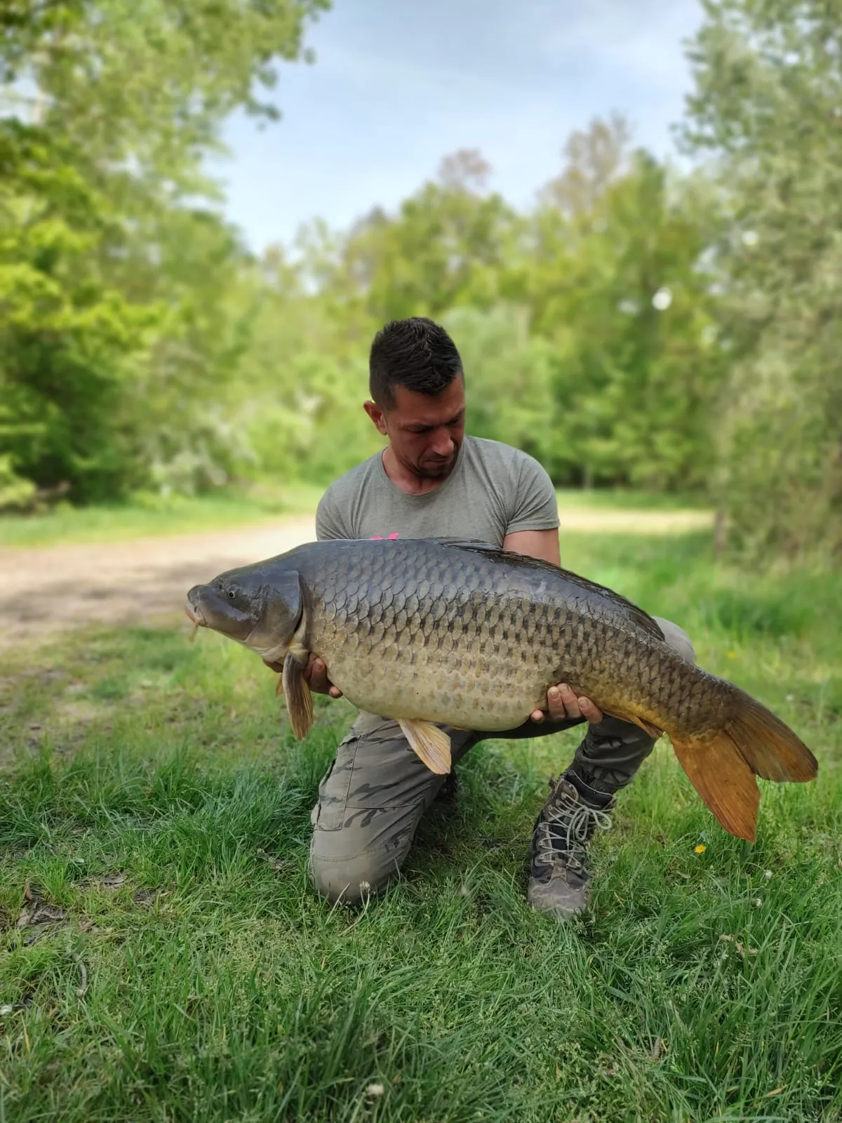 Mann kniet auf Gras und hält einen großen Karpfen vor einem Waldhintergrund.