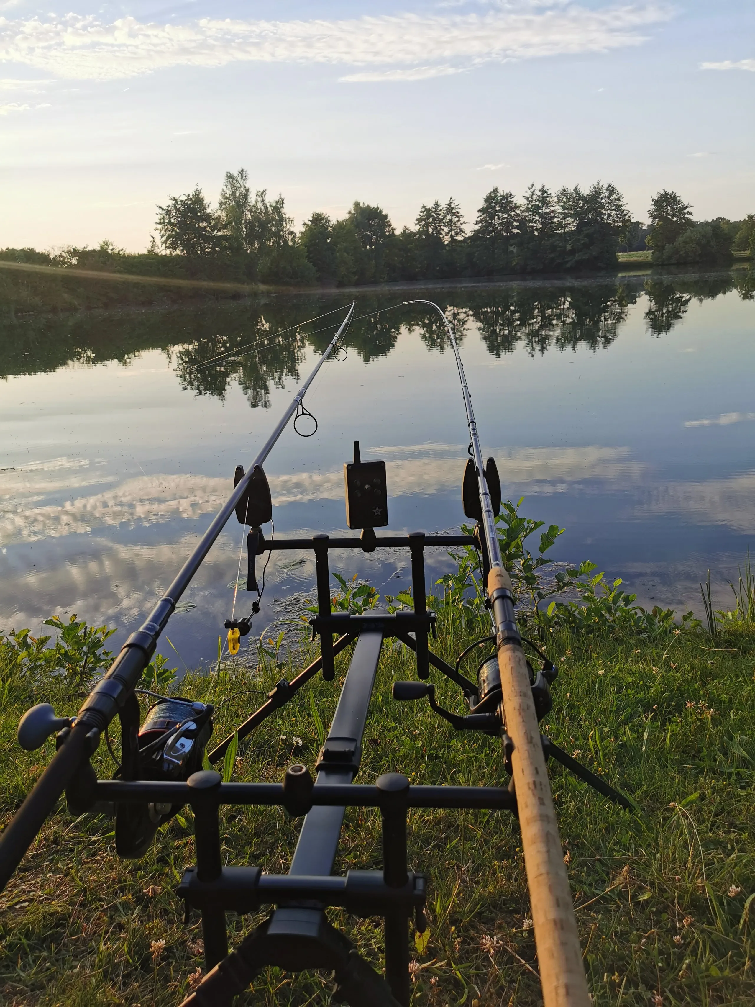 Zwei Angelruten auf einem Halter am Ufer eines stillen Sees mit Bäumen und bewölktem Himmel im Hintergrund.