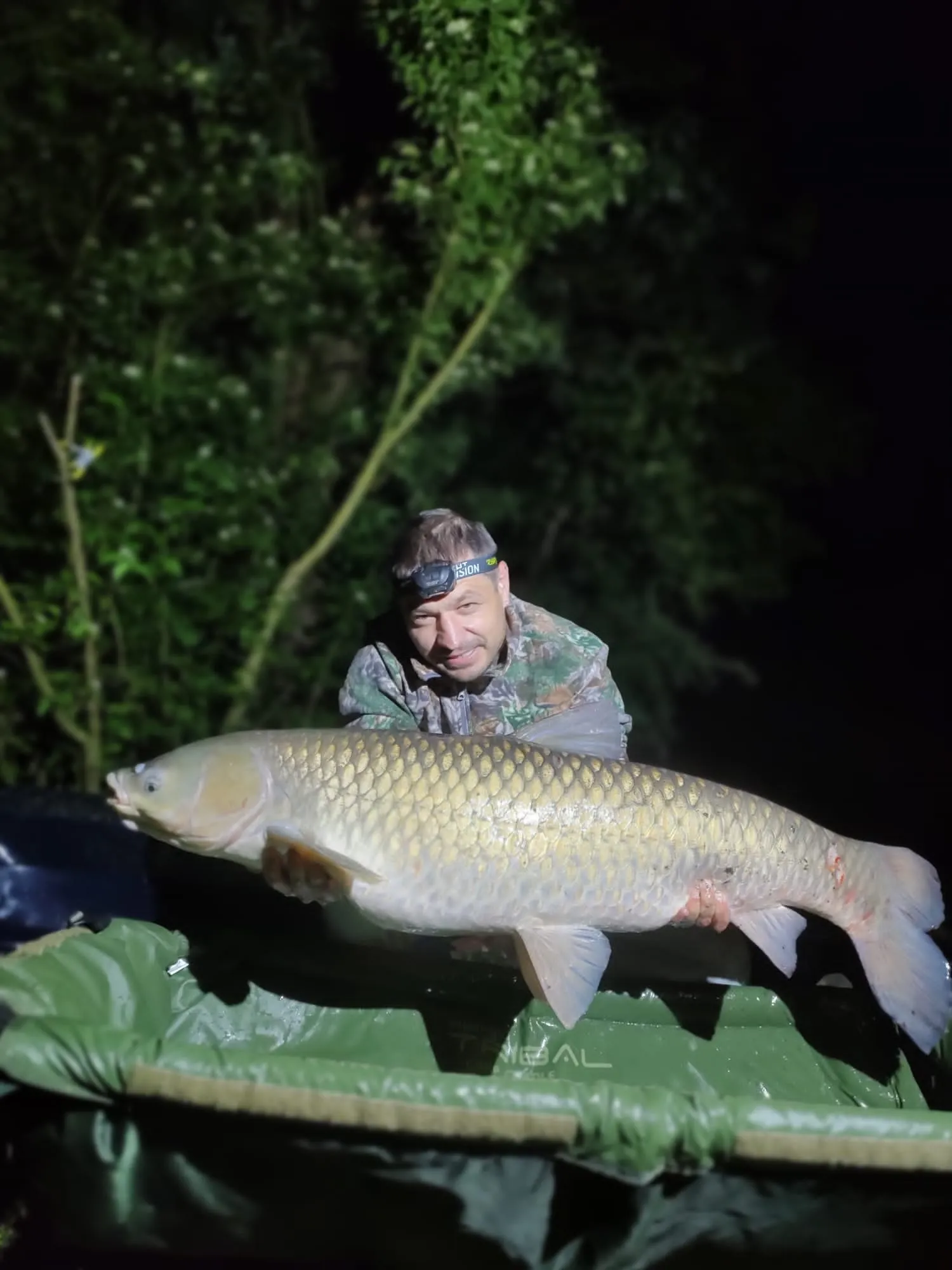 Angler mit Stirnlampe hält nachts großen, goldfarbenen Karpfen über grüner Matte.