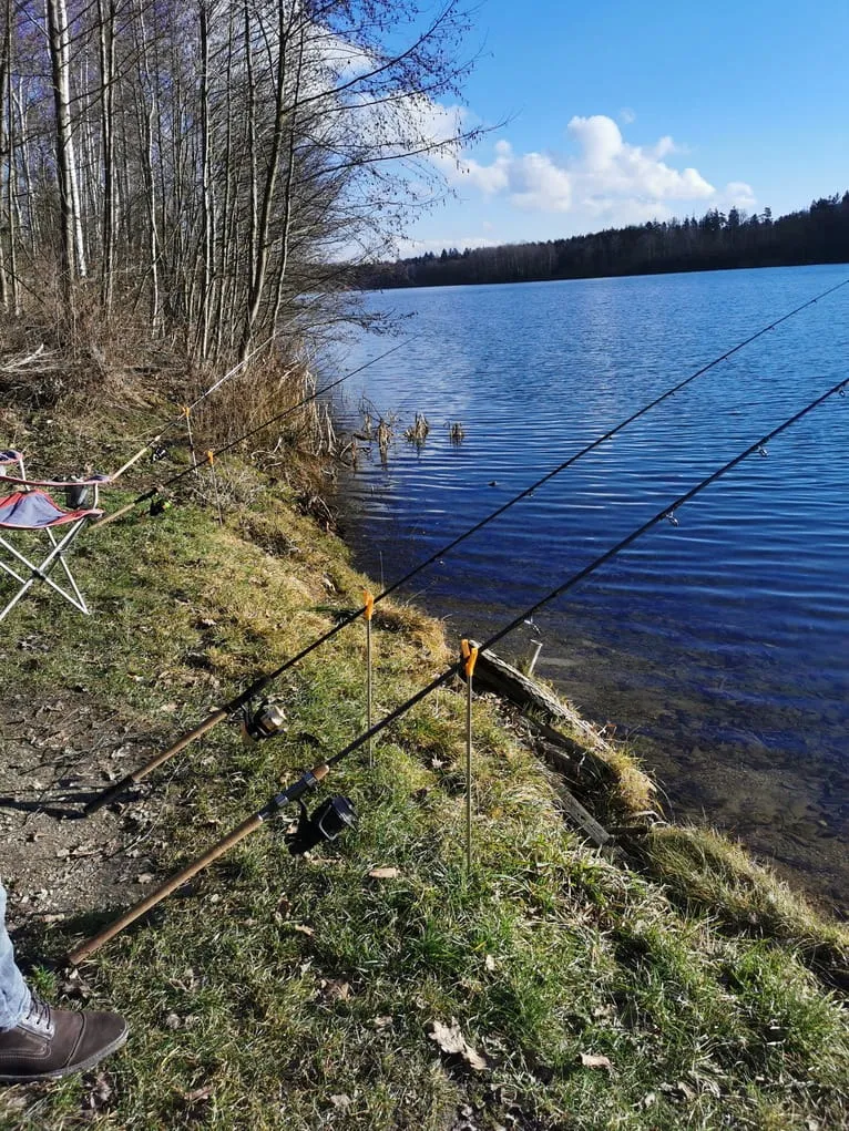 Angeln Regensburg an der Donau