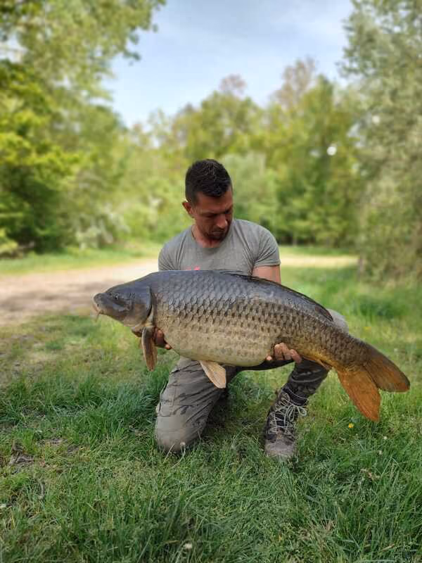 Teamfischer Florin kniet mit großem Schuppenkarpfen im Gras
