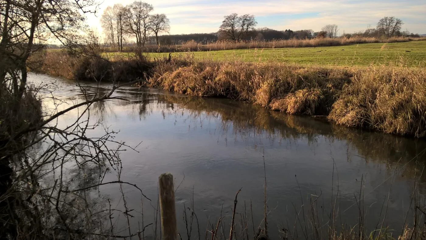 Fluss, der an einem Feld mit braunen Gräsern und kahlen Bäumen entlangfließt, im sanften Abendlicht.