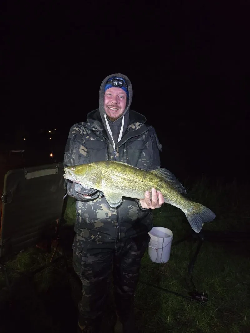 Teamfischer Dominik mit Zander bei Nacht