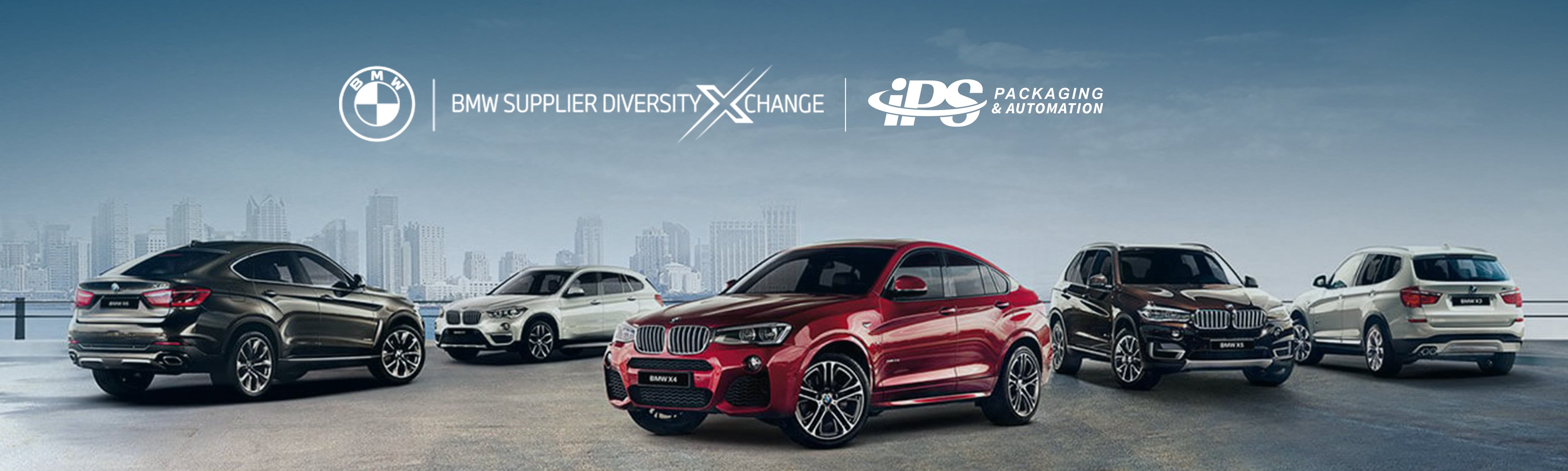BMW Diversity Exchange
