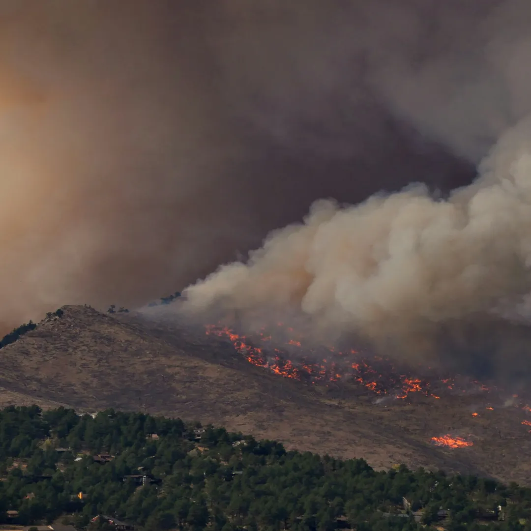 Wildfire burning on a hillside with thick smoke rising over a forested area below.