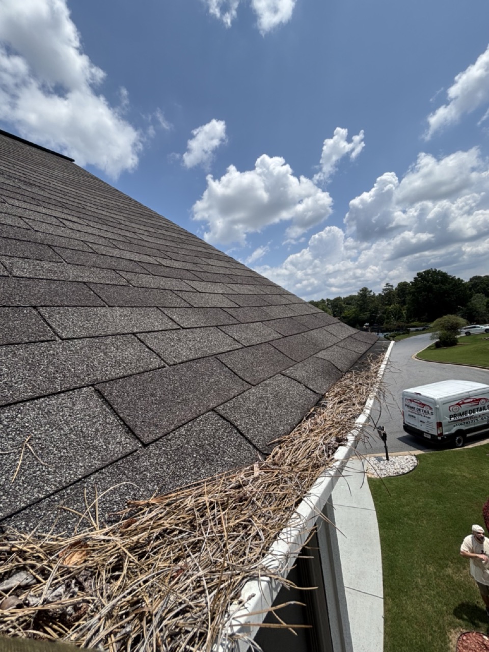 Gutters full, front south