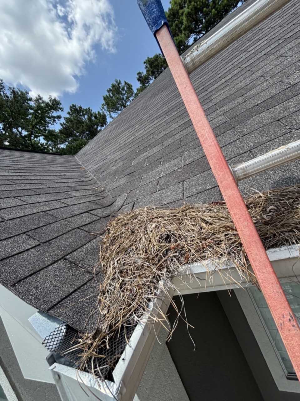 Gutters full, front door