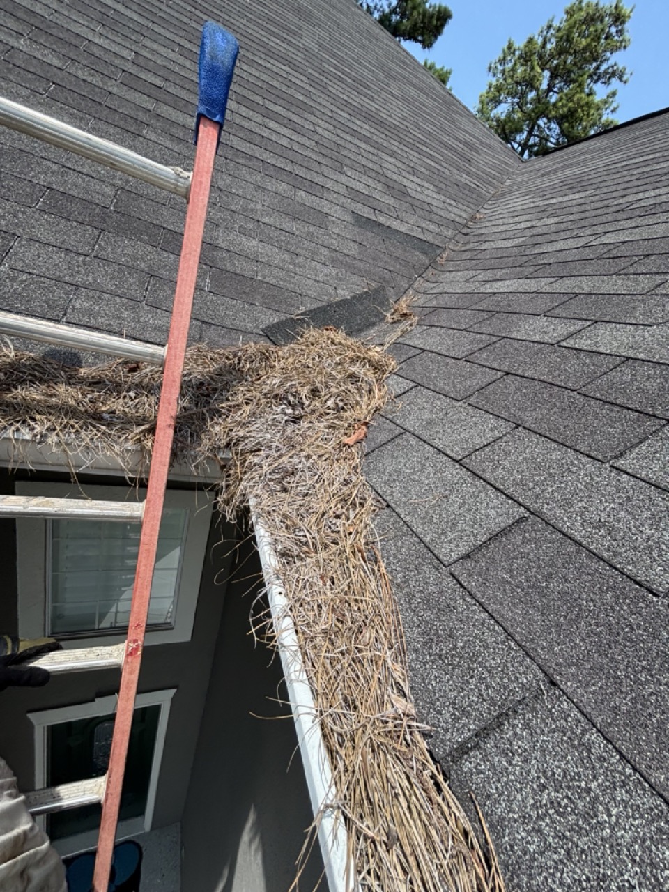 Gutters full, front