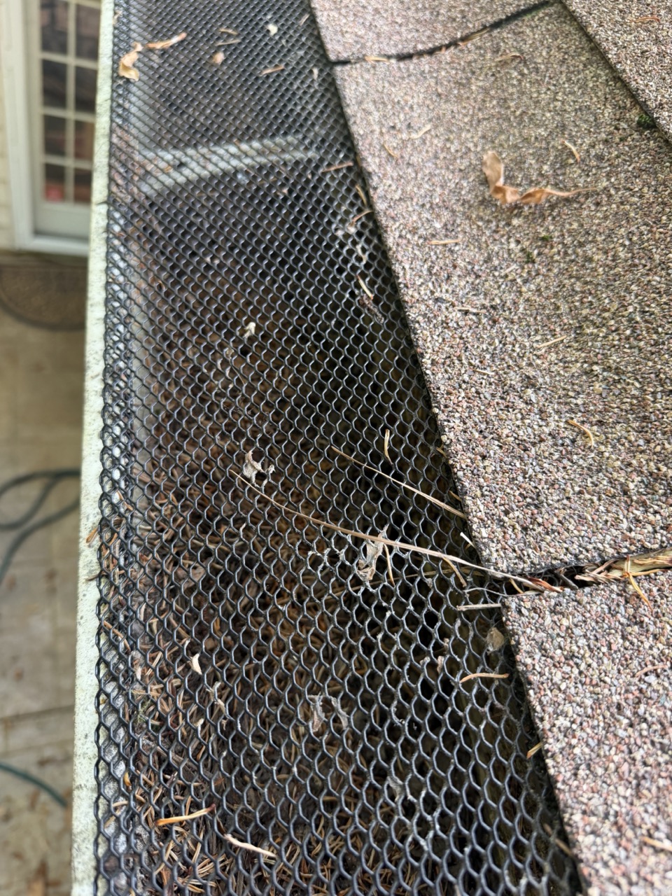 Buildup inside the gutters behind the guards