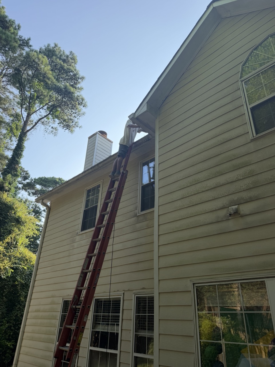 Mildew on the back of the house