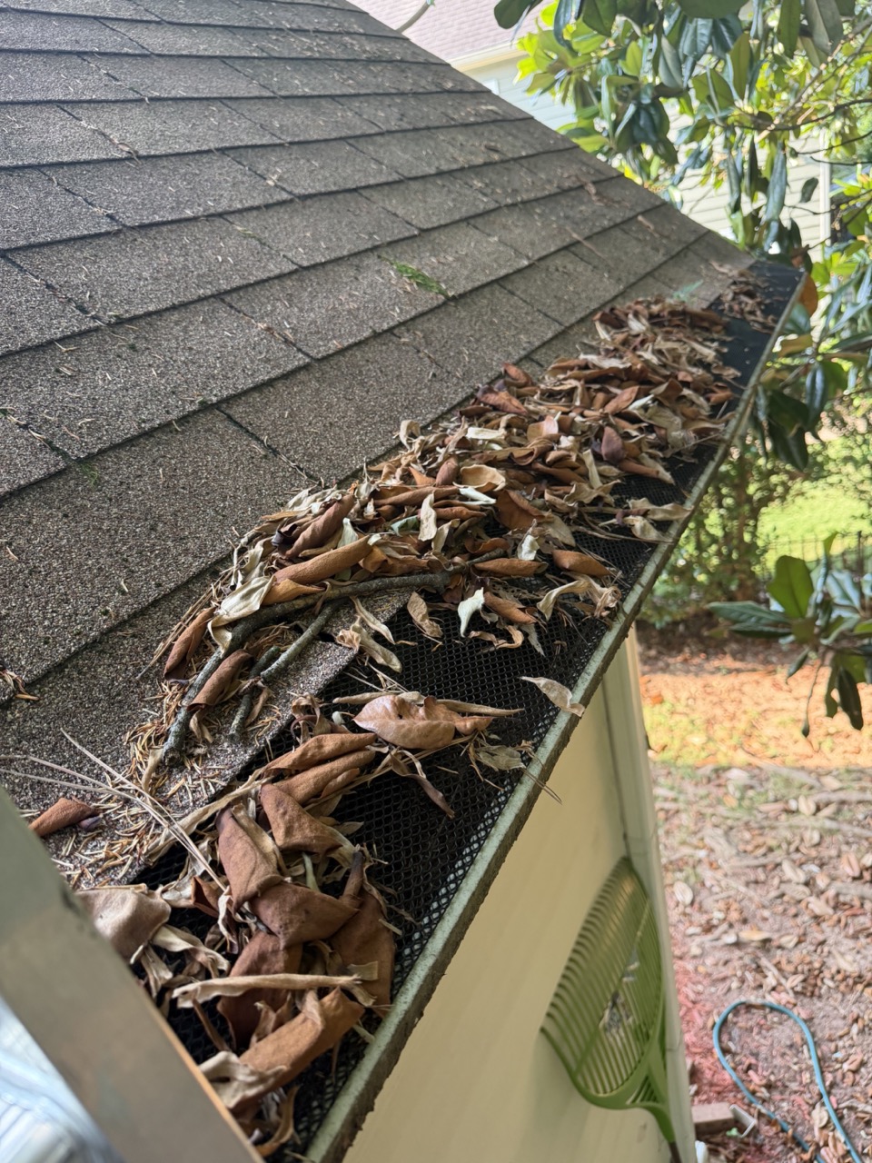 Back gutter full of leaves