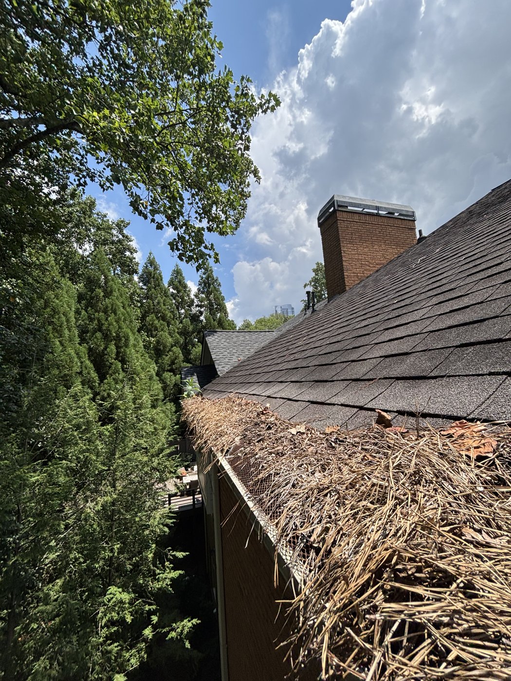 Gutter mounded with debris at the corner