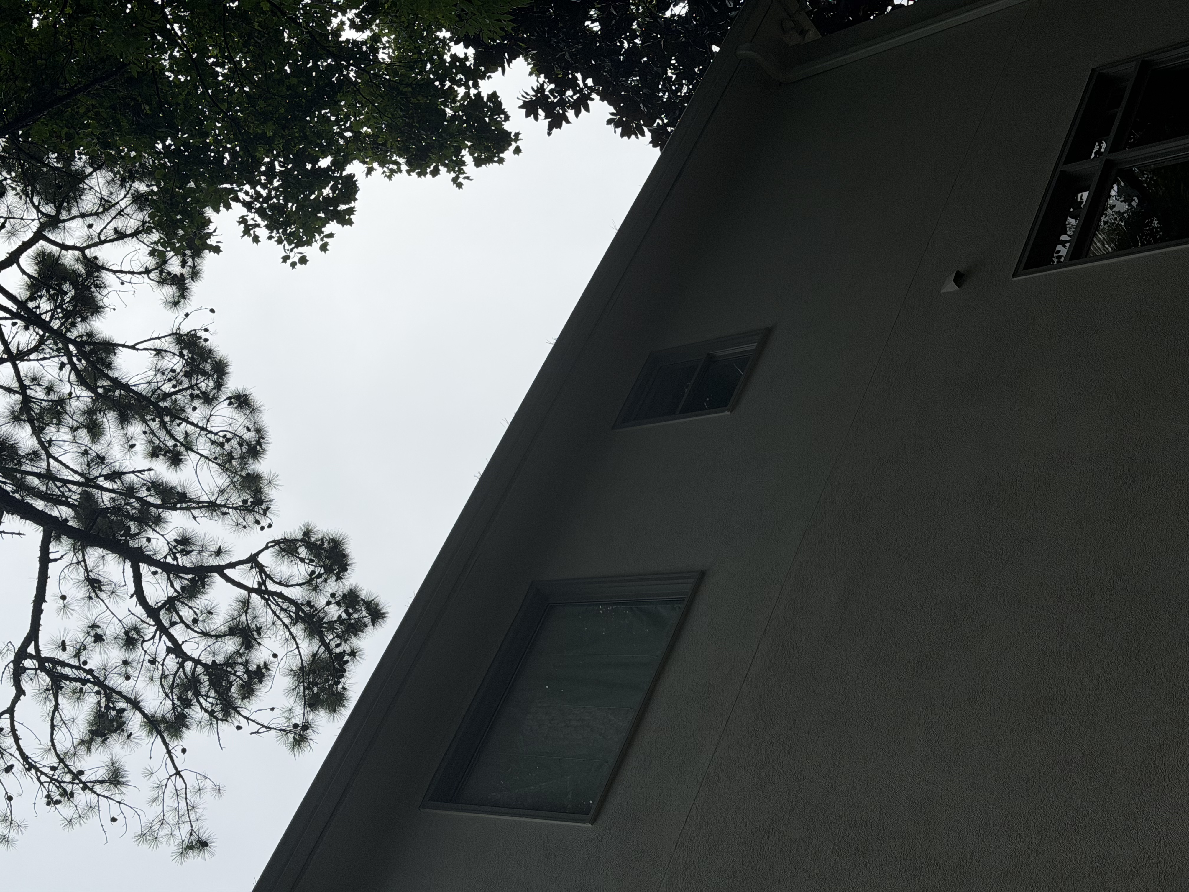 Gutter on the tall side of the house, roof access needed