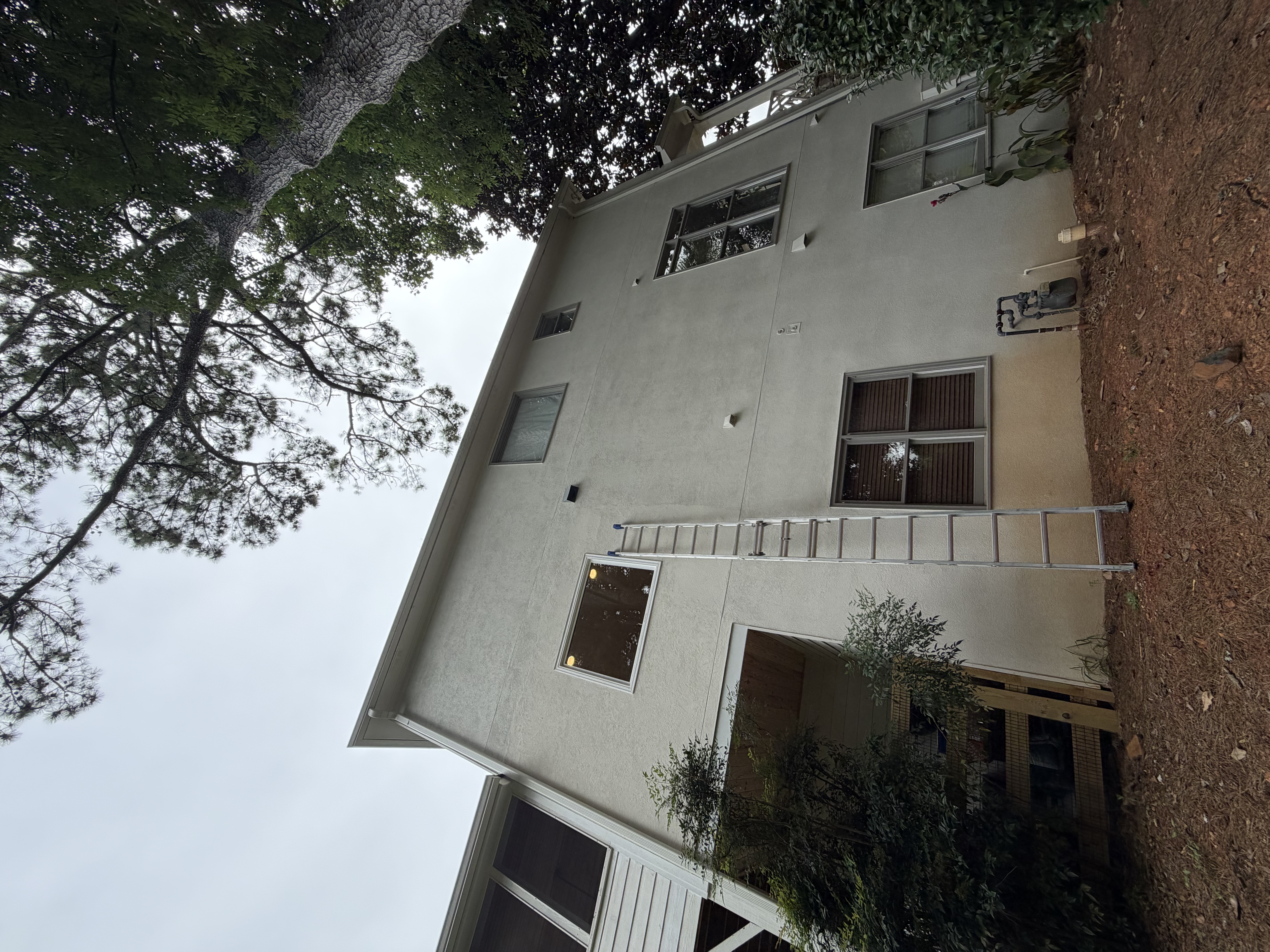 Left side of the house and windows