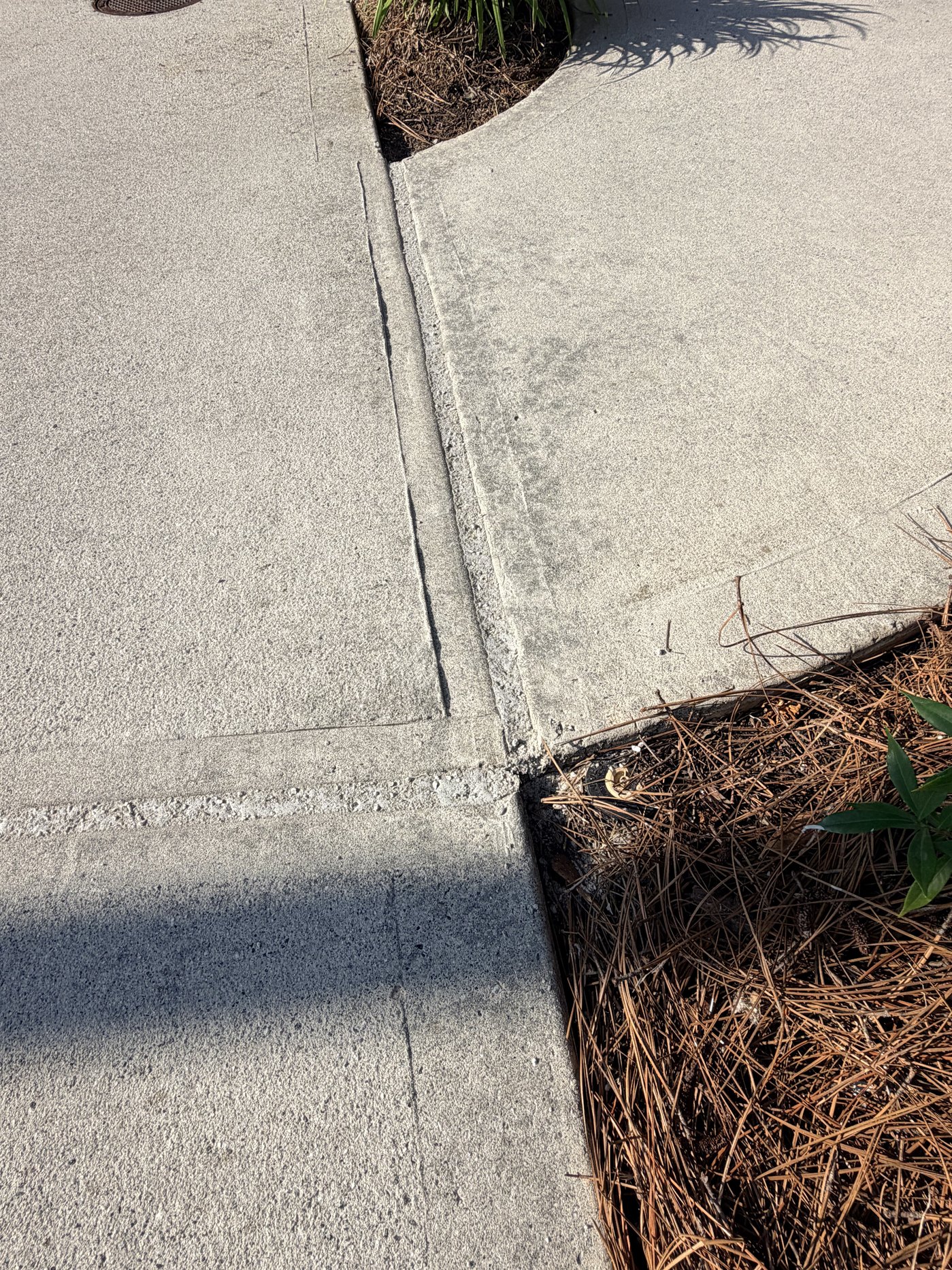 Same driveway joint sealed and sanded flush