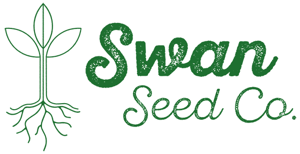 Swan Seed