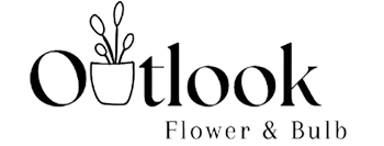 Outlook flower and bulb